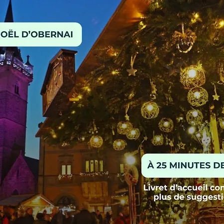 Leo Et Lysele - Magnifique Indépendant à 15 Minutes De Strasbourg 3* Illkirch-Graffenstaden